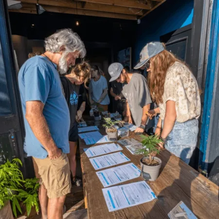 How Virginia Legal Marijuana Sales Are Changing Everyday Life Virginia legal marijuana sales are closer than ever. Will you profit or miss out? Discover key updates and surprising impacts—find out more inside!