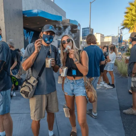 Las Vegas Strip Cannabis Laws: What You Need to Know in 2024 Curious about Las Vegas Strip cannabis laws? Uncover the truth, stay safe, and know exactly what’s legal before your next Sin City adventure. Click to learn more!