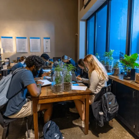 Discover SCSU's new cannabis certificate programs! Unlock exciting opportunities and get ahead—see why these cannabis certificate programs are in demand.