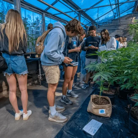 Ready to master cannabis cultivation education? Discover insider tips and expert guidance from Syracuse University—don't miss this unique opportunity!