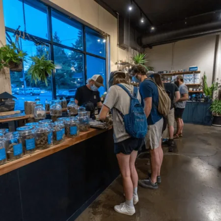 Birmingham Cannabis Retailer Enforcement: What’s Really Sparking Crackdowns? Birmingham cannabis retailer enforcement is shaking up the scene. Discover what's really happening and why some shops are closing while others fight to survive.