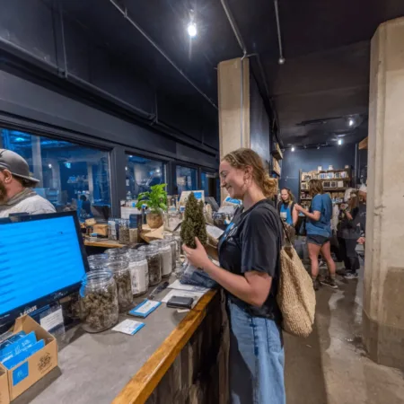 Inside the New York Cannabis Seed-to-Sale Revolution: What Changed and Why It Matters Discover how New York cannabis seed-to-sale regulations change the game. See the behind-the-scenes impact—don't miss what's coming next!