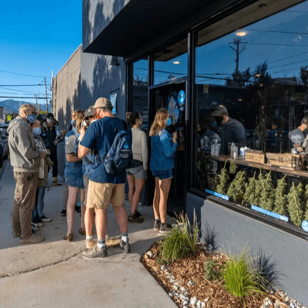 Curious about the latest cannabis policy change Colorado? Discover how new laws could reshape the industry—don’t miss these crucial updates!