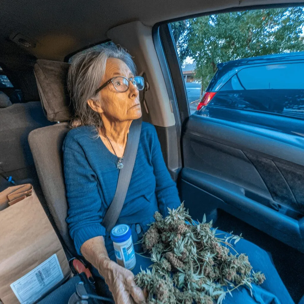 Are cannabis-related crashes older adults quietly rising? Discover surprising truths and risks every family should know—don't miss this crucial insight.