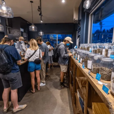 Connecticut Cannabis Prices Take a Dive—But Are Shoppers Winning? Wondering about Connecticut cannabis prices? Uncover why falling prices might not mean bigger savings—what's really happening in the local market?