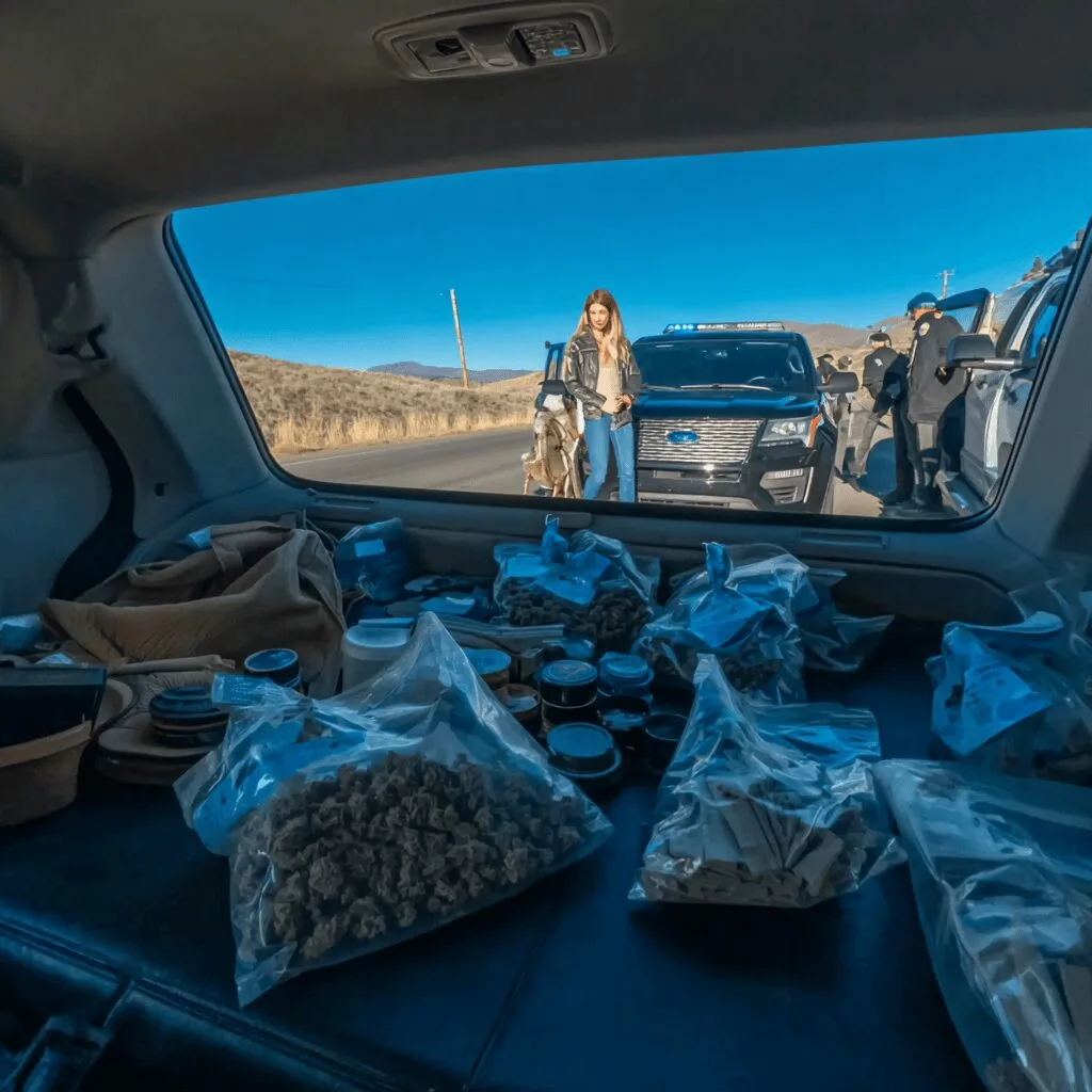 Explore the latest Colorado drug traffic stop drama—discover what police uncovered and why this bust is making headlines. Find out the full story now.