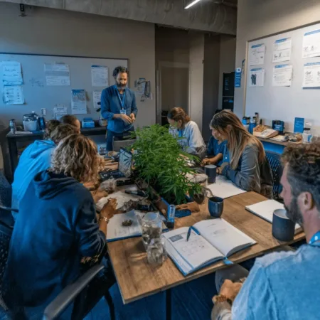 Discover Medical Cannabis Education Competencies Guiding Modern Healthcare Curious about medical cannabis education competencies? Discover what skills matter most—explore these must-know insights to empower your expertise now!