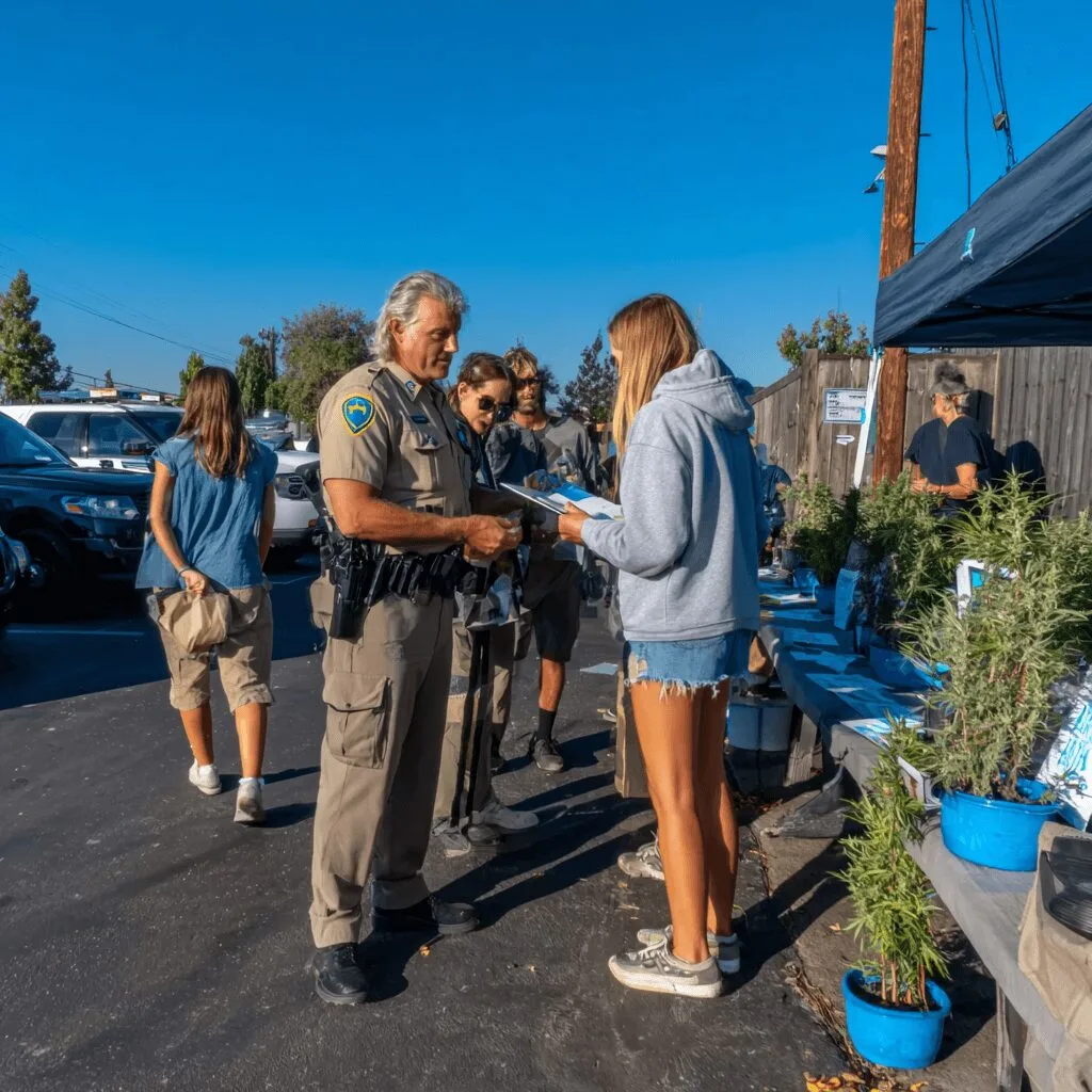 Ready to secure funding? Discover how to apply for California Cannabis Tax Fund Grants and maximize your chance at this big opportunity—don't miss out!
