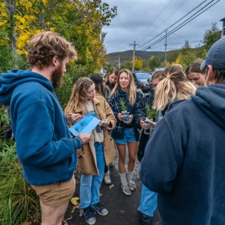 Big Shift in New Hampshire Medical Marijuana Expansion: What Residents Need to Know Now! Discover the latest New Hampshire medical marijuana expansion—are you ready for the updates? Uncover the inside scoop that everyone’s talking about!