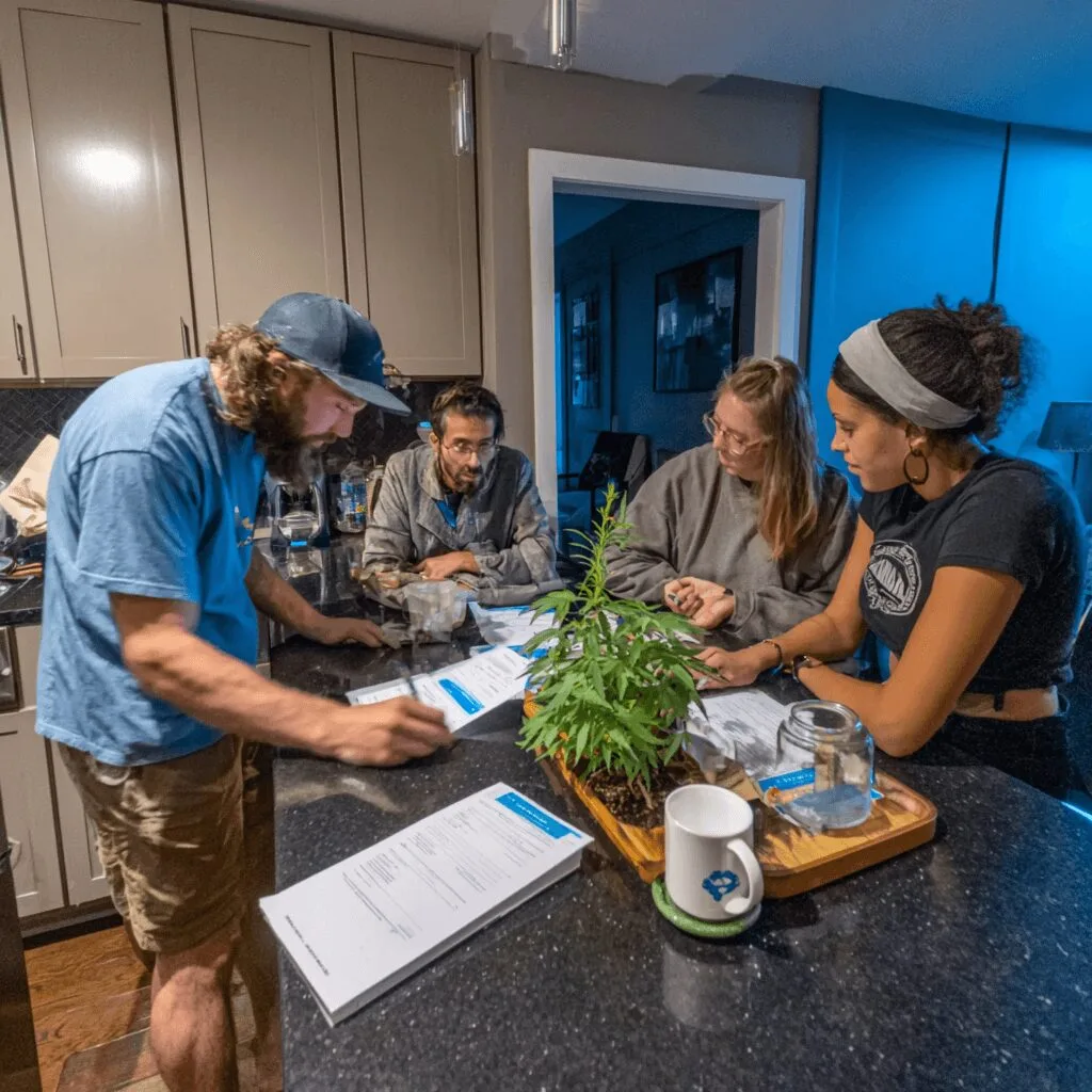 Ready for Ohio cannabis law changes? Discover what the Senate vote means for you, shocking new penalties, and what every adult user needs to know.