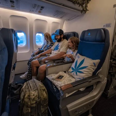 Travelers Sound Alarm: Bed Bugs on Airline Flights Disrupt Family Journeys Discover shocking facts about bed bugs on airline flights. Could your next trip put you at risk? Find out how to protect yourself before it's too late!
