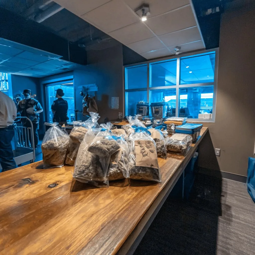 Discover the inside story of the marijuana seizure at BNA—how 34 pounds from California were caught. What led to this daring airport bust? Find out now!