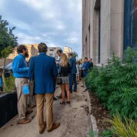 Curious about Ohio hemp marijuana legislation? Discover how fresh restrictions and newly released marijuana funds could impact you. Dive in for details!