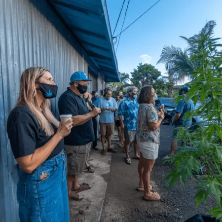 Hawai’i Reaction Trump’s Marijuana Reclassification: Surprising Local Voices & Community Buzz Curious about Hawai'i reaction Trump's marijuana reclassification? Discover bold perspectives and real controversy—find out how islanders really feel inside.