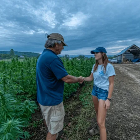 Discover how the Minnesota hemp regulation model could change federal policy. Could this bold approach lead the national conversation? Explore the future now.