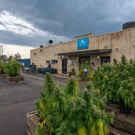 Discover the surprising impact of the Webberville cannabis facility closure. How will this shakeup affect local jobs and the cannabis market? Find out now.