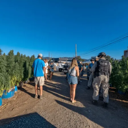 Salinas Marijuana Farm Arrest: Bay Area Suspects Spark Statewide Debate Get the inside story on the Salinas marijuana farm arrest. Seven Bay Area residents taken into custody—discover what really happened on the scene now.