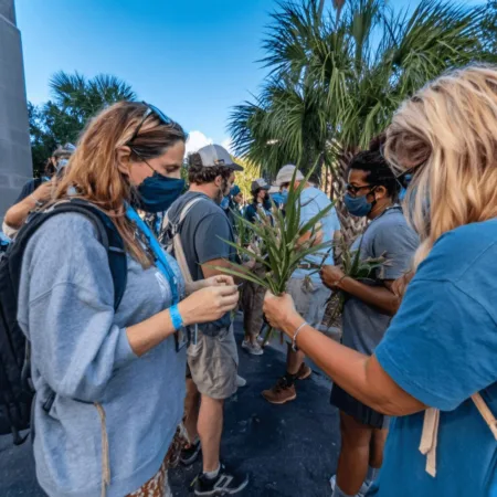 Florida Recreational Marijuana Amendment: Supreme Court Debate Ignites Change Curious about the Florida recreational marijuana amendment? Uncover what’s at stake as the proposal reaches the Supreme Court. Click for the inside scoop!