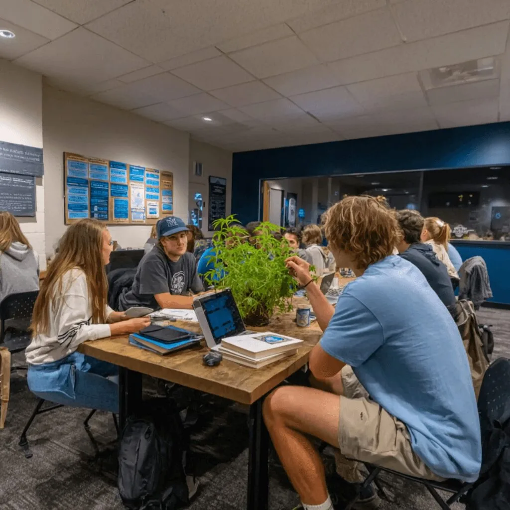 Explore the cannabis education program redefining careers—discover new paths, expert insights, and cutting-edge learning you can't miss. Click to learn more!