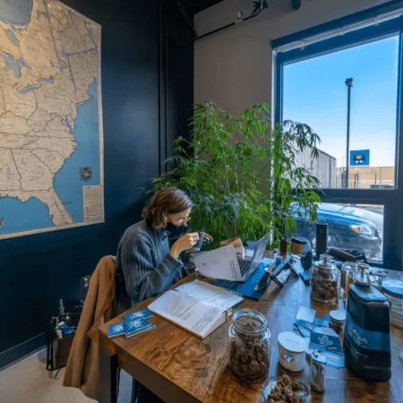 IM Cannabis US Entry: Bold Move Poses Game-Changer for American Market Curious about IM Cannabis US entry? Discover how this bold move could reshape the industry—find out what’s next! Don’t miss this exclusive insight.