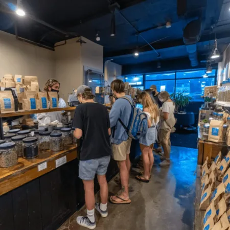 Connecticut Cannabis Sales Forecast: Will 2025 Defy All Expectations? Connecticut cannabis sales forecast revealed: Will 2025 break the trend or drop lower than 2024? Find out what's changing and how it impacts you.