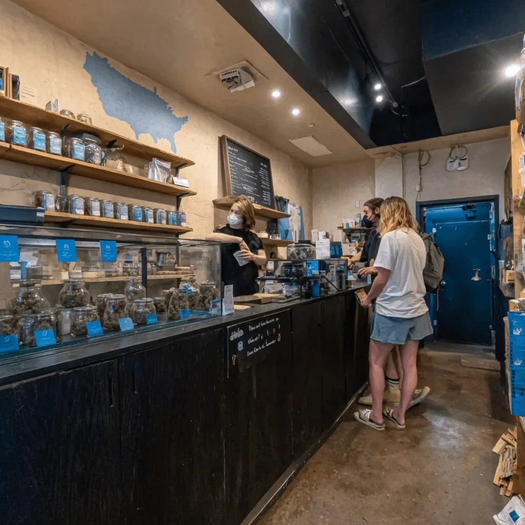 Discover expert insights into the New Jersey medical cannabis program—how is it changing in 2024? Explore what patients & advocates need to know right now.