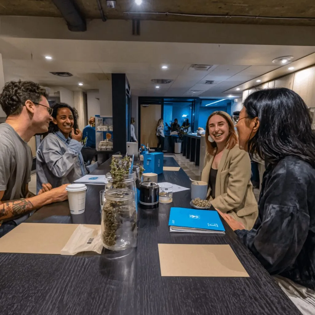Curious how marijuana workplace employer laws could impact your business? Discover actionable tips and key changes every employer must know today.