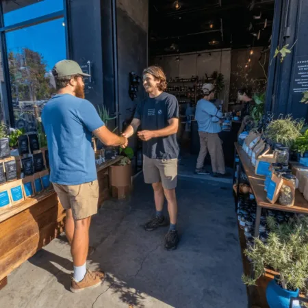 Why the California Cannabis Sales Partnership Is Revolutionizing the Industry Ready to boost your business? Discover how the california cannabis sales partnership opens doors to innovation and growth. Don’t miss out—learn more!