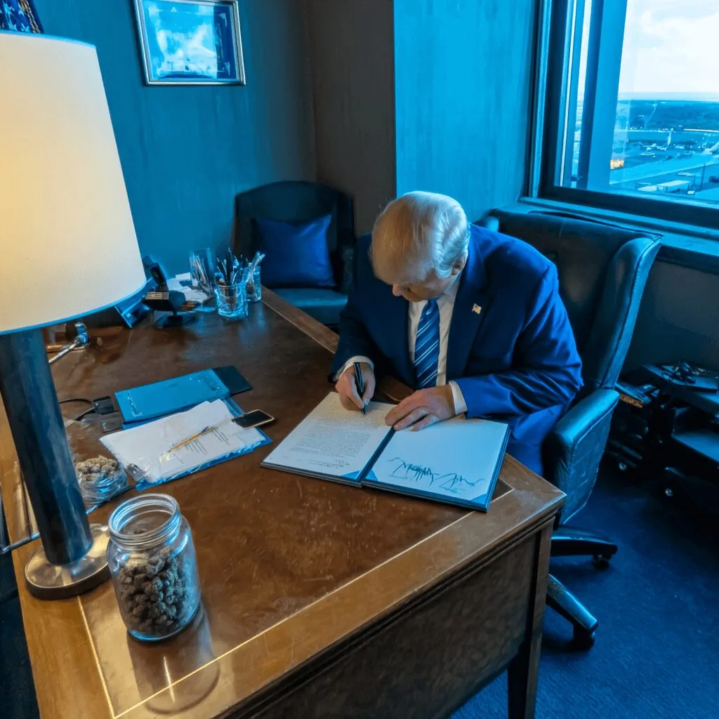 Trump marijuana executive order just shook the nation—curious what this means and how it impacts cannabis laws? Discover the full story right here.
