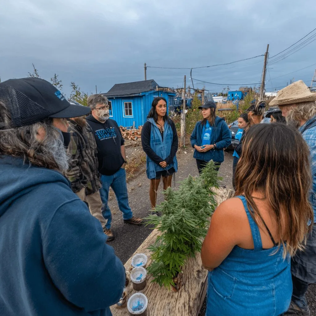 Curious about Nova Scotia cannabis enforcement? Discover new actions, community debates, and game-changing developments—don’t miss this urgent update!