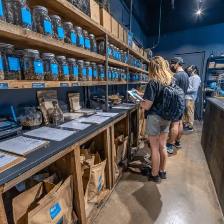 Don’t miss the NY cannabis tracking deadline—find out what this means for your business and get urgent tips before it’s too late. Click to stay compliant!