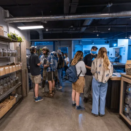 Michigan cannabis company layoffs are making headlines—what’s really happening inside these companies? Uncover insights and the real story here.