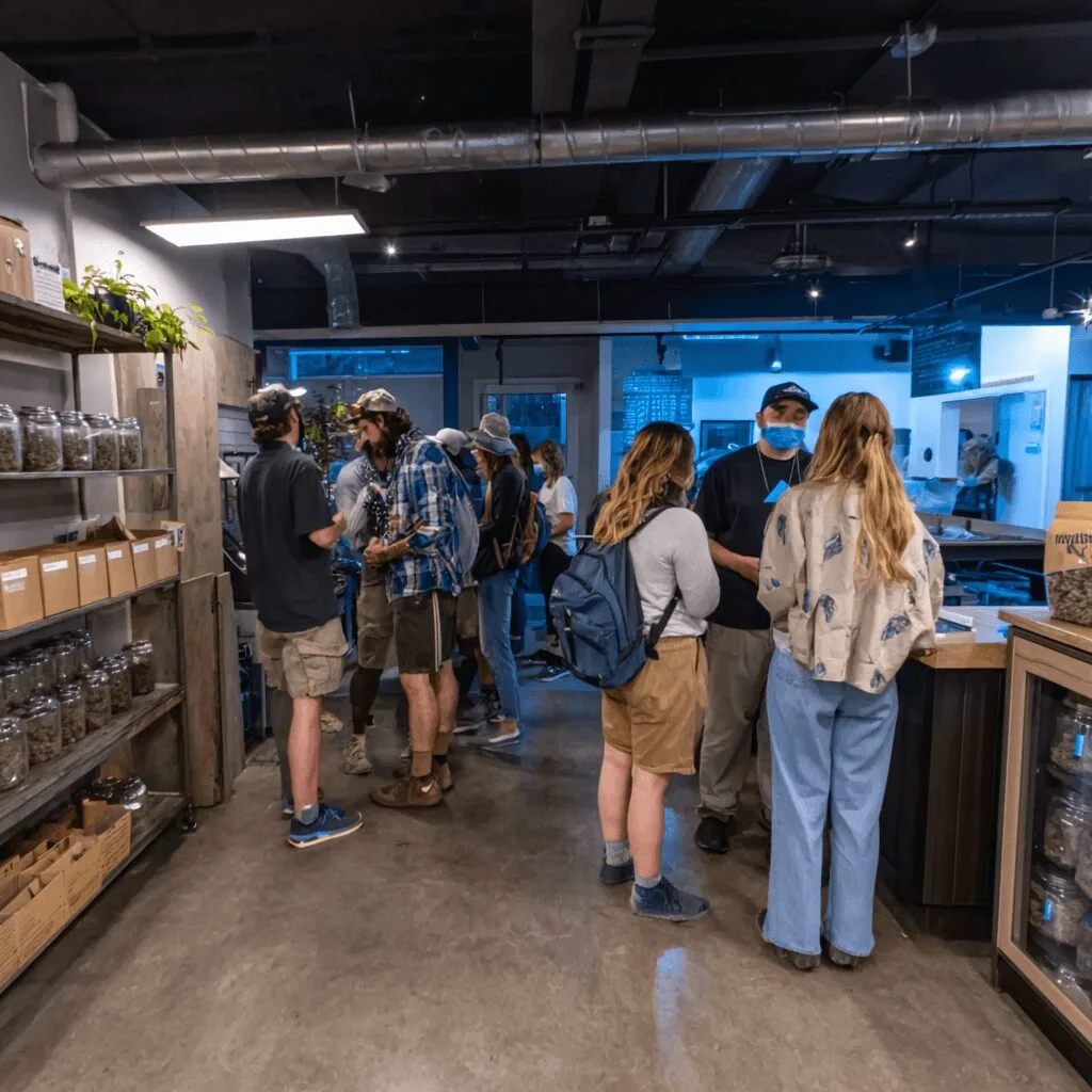 Michigan cannabis company layoffs are making headlines—what’s really happening inside these companies? Uncover insights and the real story here.