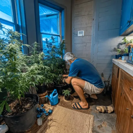 Florida Embraces Medical Marijuana Home Cultivation: Patients Win New Rights! Curious about medical marijuana home cultivation? Discover how new legislation could empower patients in Florida—find out what this means for you today!