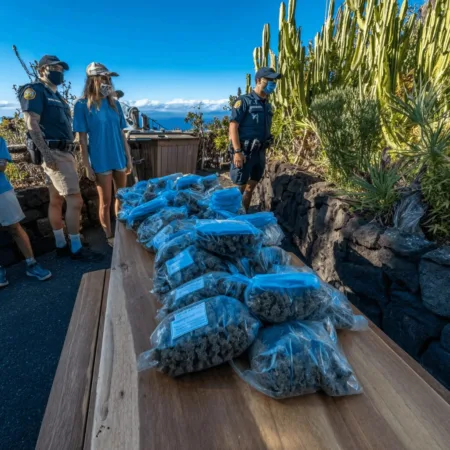 Big Island Marijuana Bust: 400 lbs Seized Shocks Hawaii’s Cannabis Community Big Island marijuana bust shocks the community! Discover how nearly 400 lbs were discovered and what this massive takedown means for the island's future.