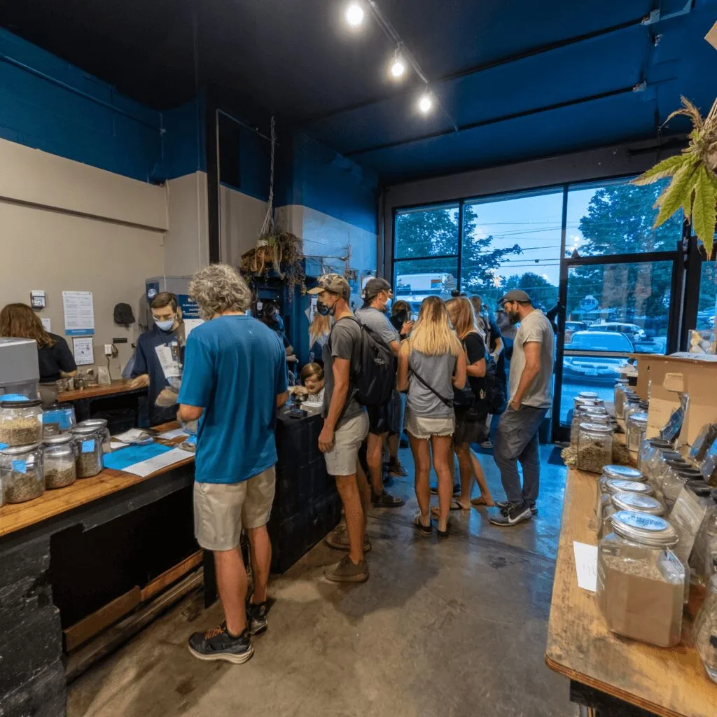 Is Newton cannabis ballot 2026 about to shake up local laws? Discover what's at stake and why this vote could transform the cannabis industry.