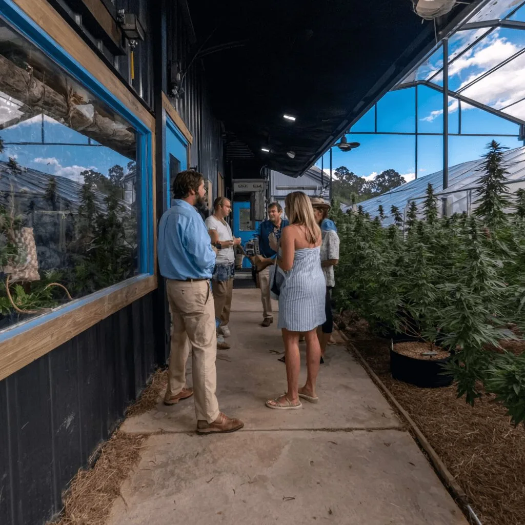 Curious about Texas medical cannabis facility? See inside Bastrop’s groundbreaking site and uncover what makes it a game changer for Texans!