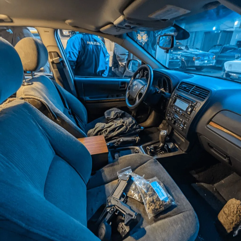 Curious about the Pine Forest Road DUI arrest? Discover what really happened during this high-stakes stop—drugs, weapons, and more. Click to learn the truth.