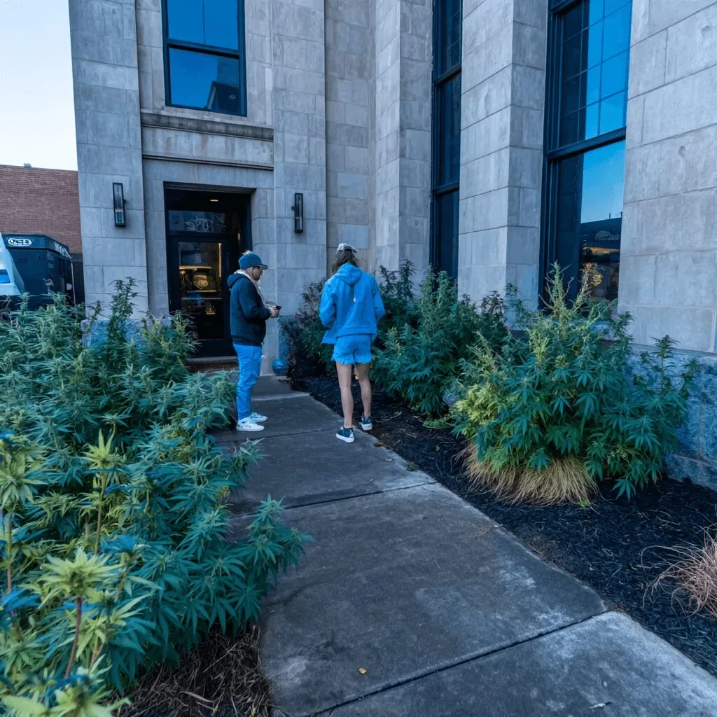 Pierce County THC possession laws are changing—can you stay ahead? Get real court insights, crucial updates, and know your rights. Click to learn more!