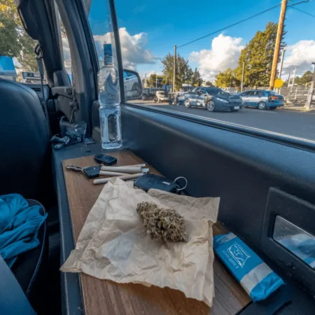 Why Marijuana Impaired Driving Policies Need a Wakeup Call in 2024 Curious about marijuana impaired driving policies? Uncover what states aren’t doing—and why getting it right protects you. Don’t miss these urgent insights.