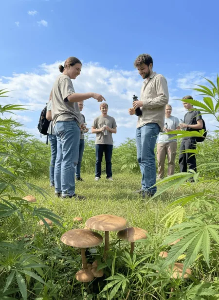 How the Evolution of Psilocybin is Reshaping Nature, Wellness, and Law Uncover the mind-bending evolution of psilocybin and its magic mushroom origins. What secrets shaped their journey? Click to unravel the mystery now!