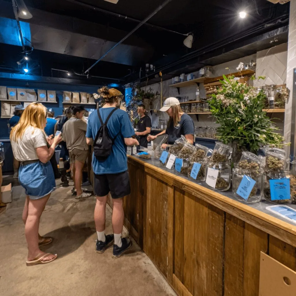 Ready to discover Hamburg medical marijuana dispensary? Explore safe cannabis, expert advice, and fresh opportunities—see why locals are excited to visit!