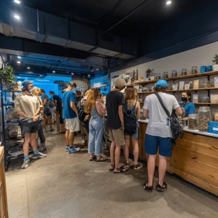 Buffalo’s NY Legal Cannabis Market: Booming Growth, New Opportunities & Local Impact Curious about the NY legal cannabis market? Discover what's fueling Buffalo's surge and why everyone’s talking about the opportunities—click for insider insights!