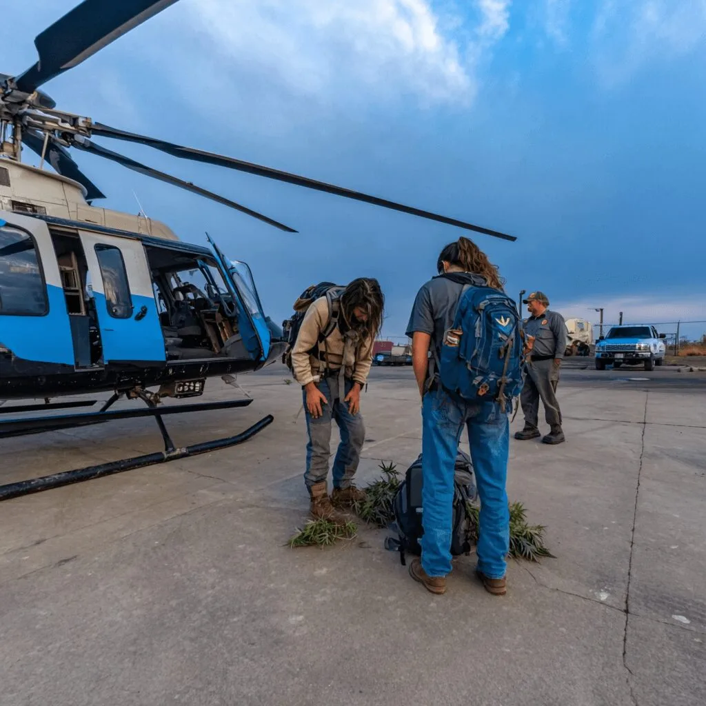 Discover how the firefighters marijuana policy impacts careers. Why were heroes removed? Uncover the real story—don't miss this urgent update!