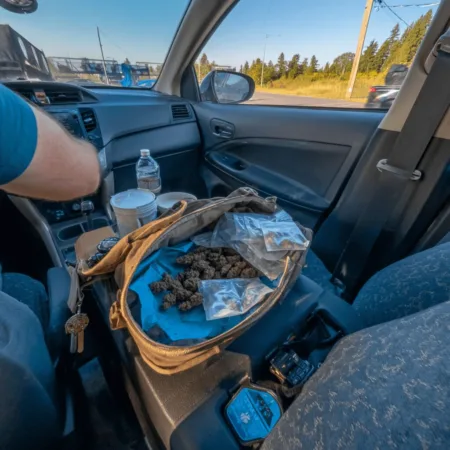 Polk County Marijuana Arrest: Diaper Bag Discovery Sparks Debate Polk County marijuana arrest shocks locals after a traffic stop uncovers weed hidden in a diaper bag. Curious how it happened? Click to read the wild story!