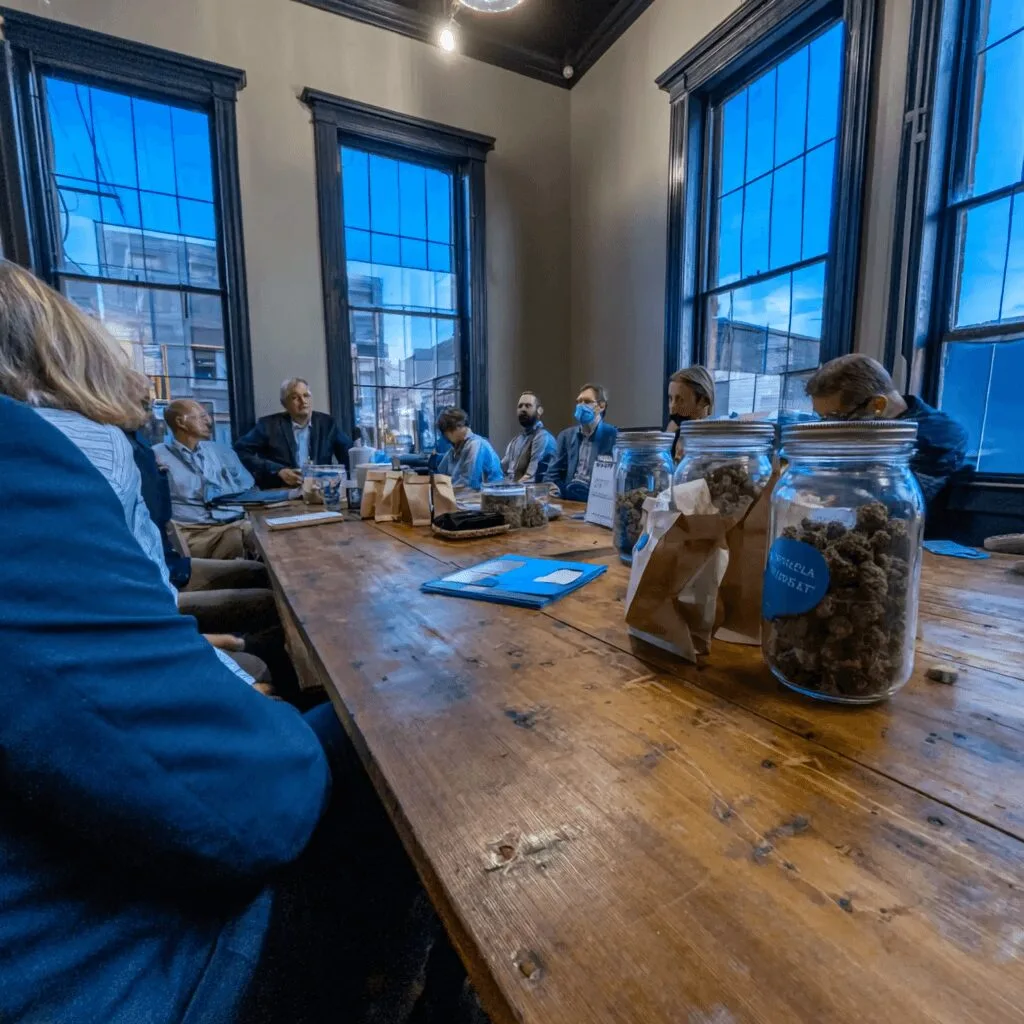 Curious about Arroyo Grande cannabis regulations? Discover the latest city council updates and what could change for local businesses—click to stay informed!