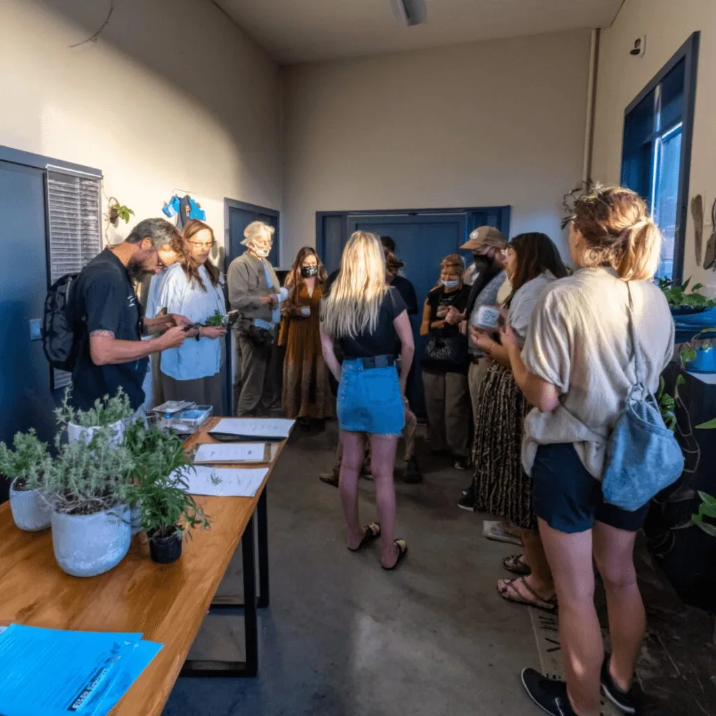 Ready to level up? Discover how a cannabis education grant can change lives in Monterey County. Act now—find out what benefits await you inside!