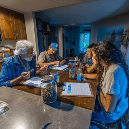 Curious about the real impact? Discover what a medical marijuana assessment reveals—get informed before your next step. Don't miss the full breakdown!