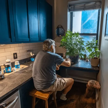 Can New York opioid reduction cannabis programs revolutionize pain relief? Discover how cannabis is changing treatment options in New York today.
