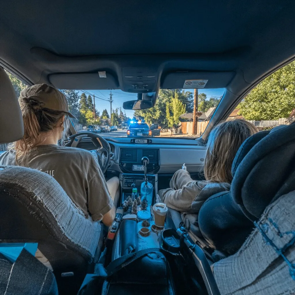 Facing felony OWI THC charges? Find out how one reckless drive with a child spiraled into life-altering consequences. Are you at risk too?